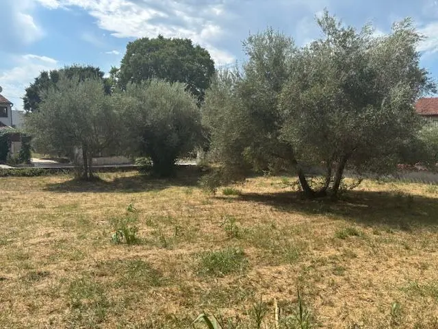 Listing Ad Image