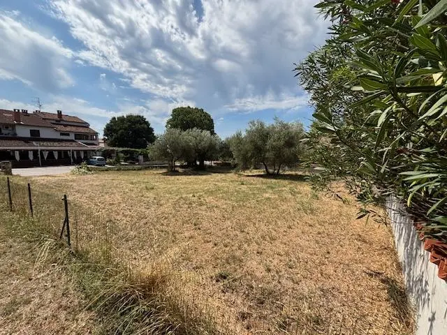 Listing Ad Image