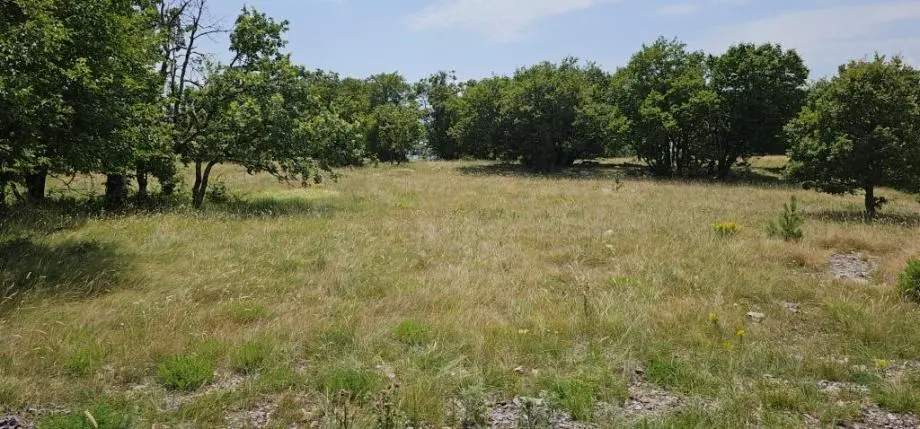 Listing Ad Image