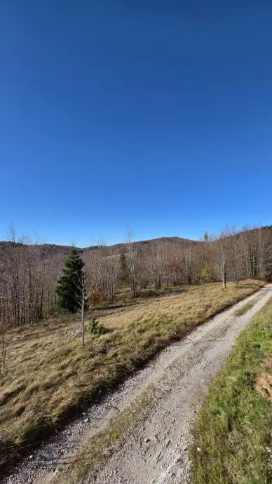 Listing Ad Image