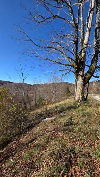 Listing Ad Image