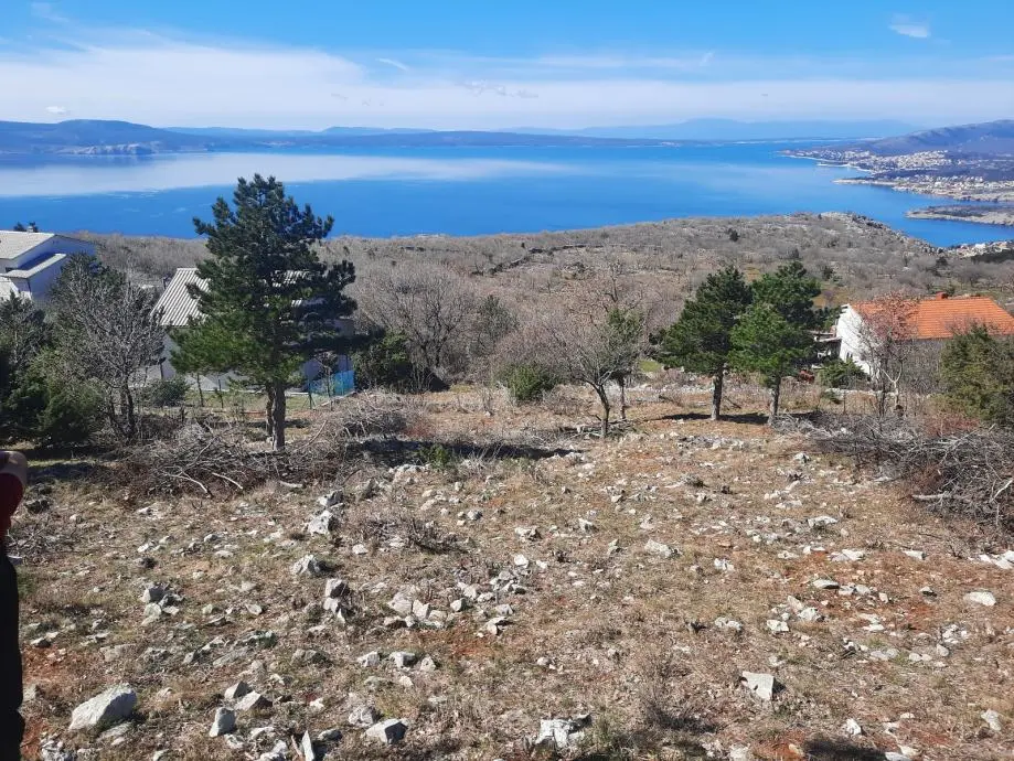 Listing Ad Image
