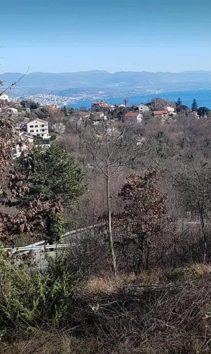 Listing Ad Image