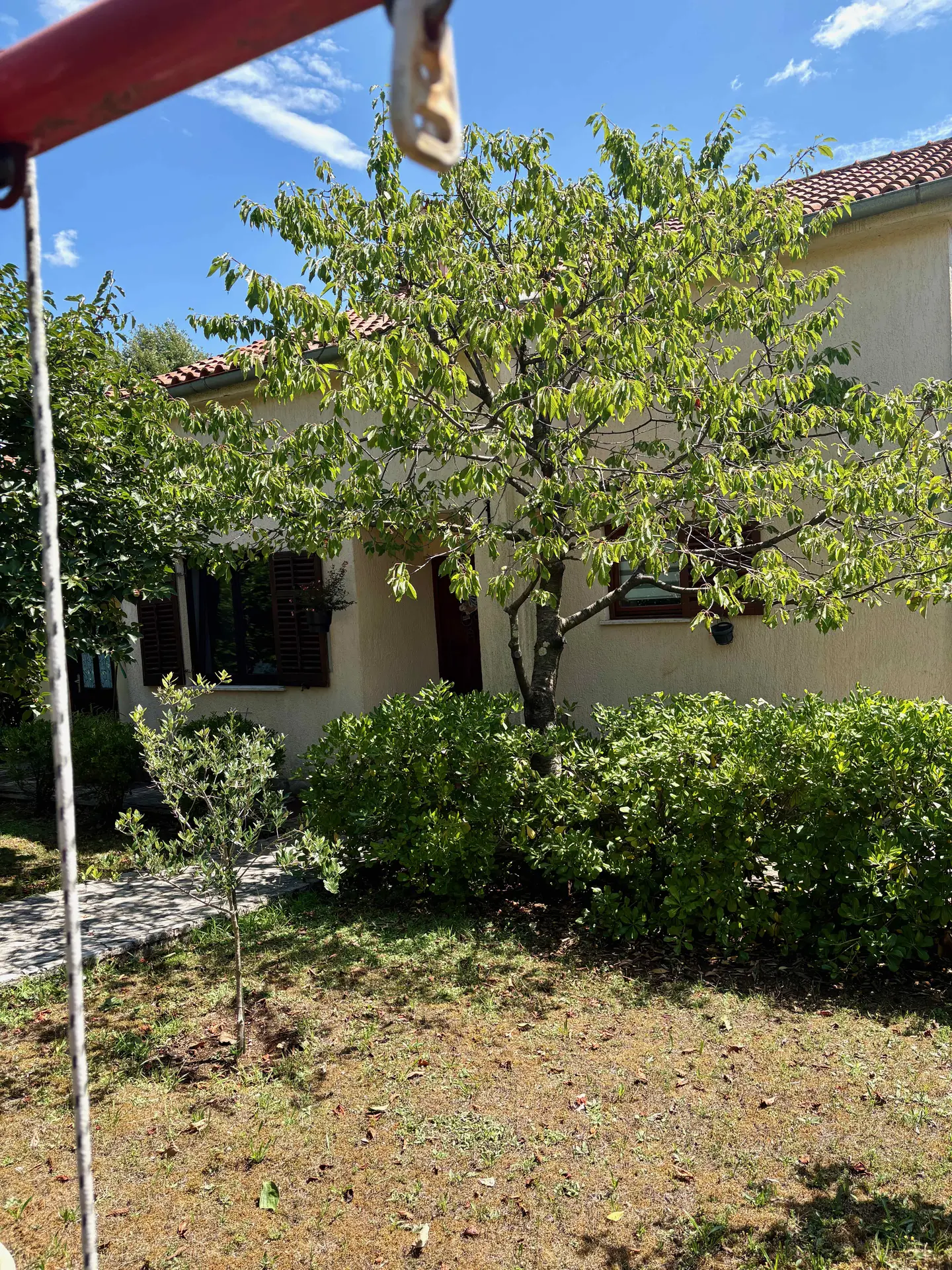Listing Ad Image