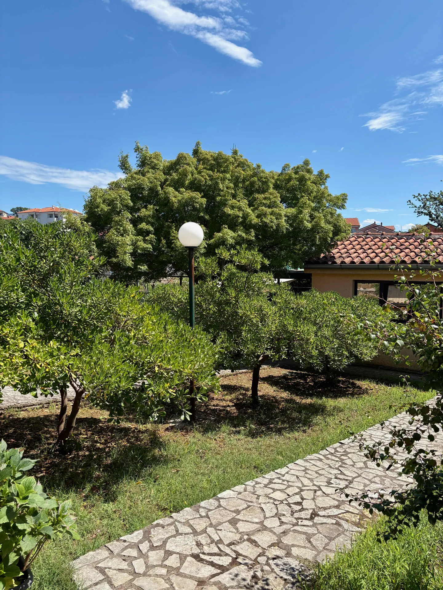 Listing Ad Image