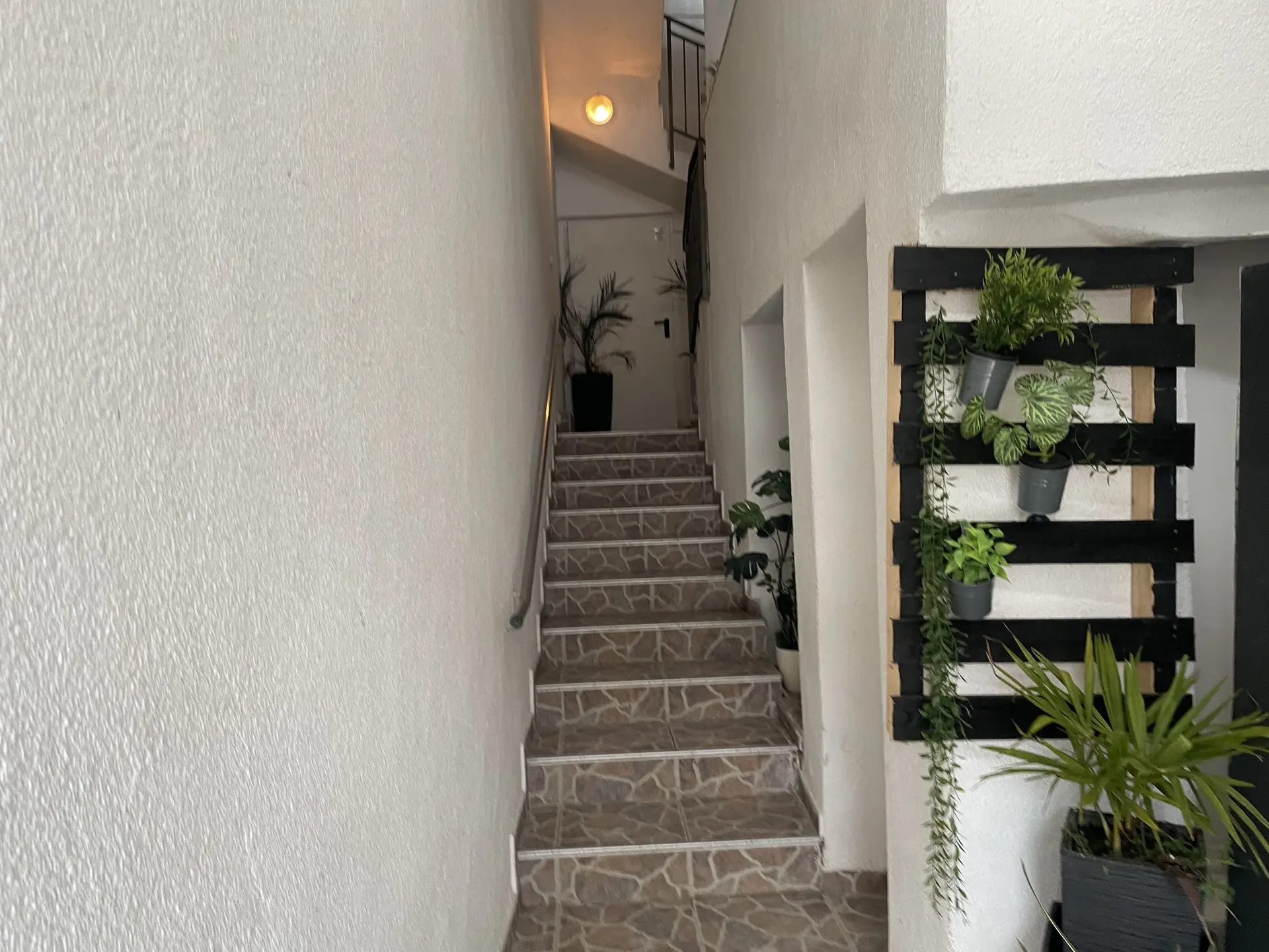 Listing Ad Image