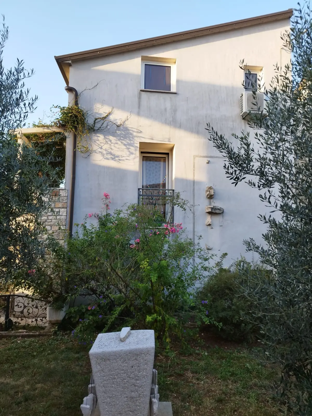 Listing Ad Image