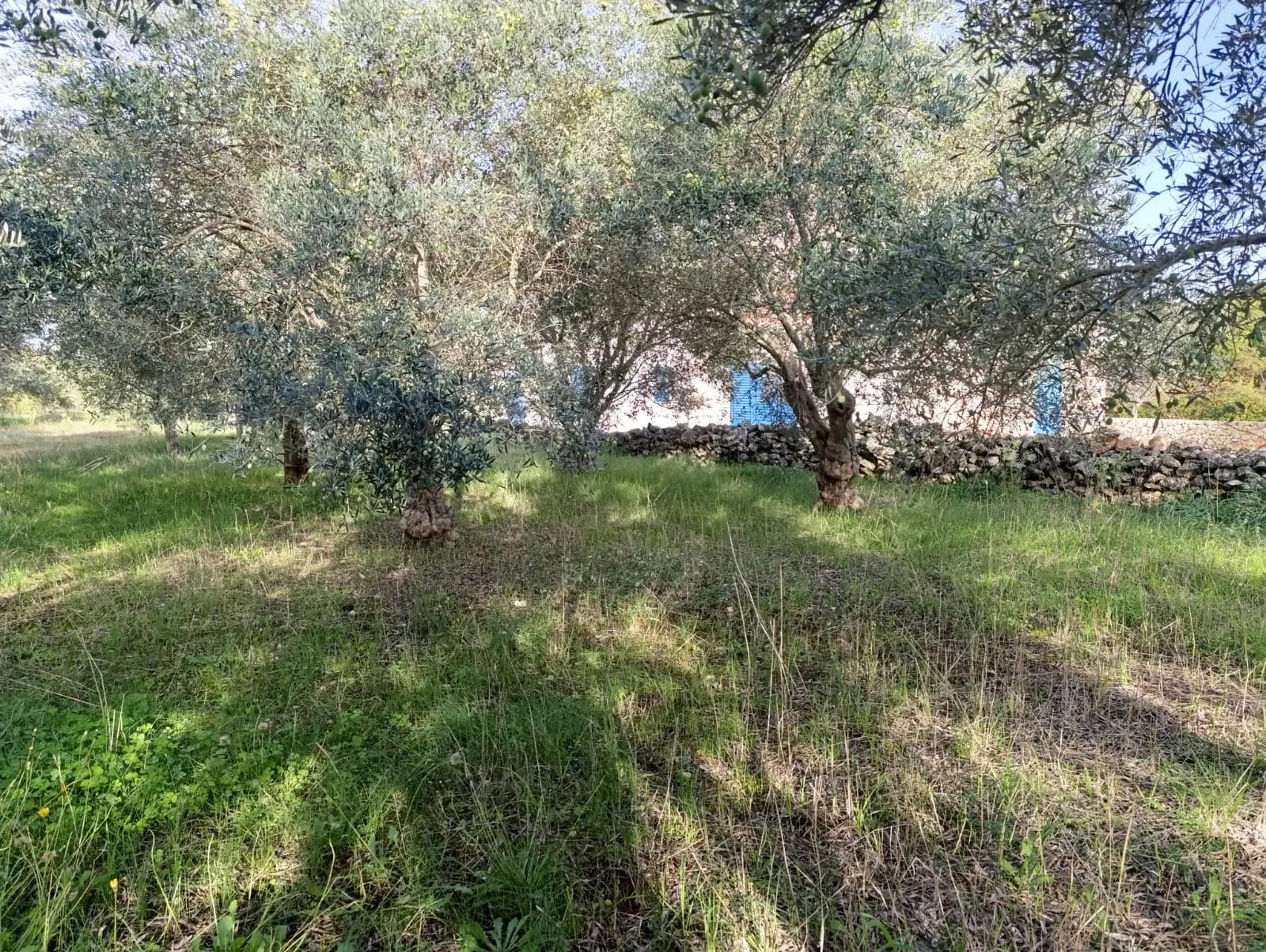 Listing Ad Image