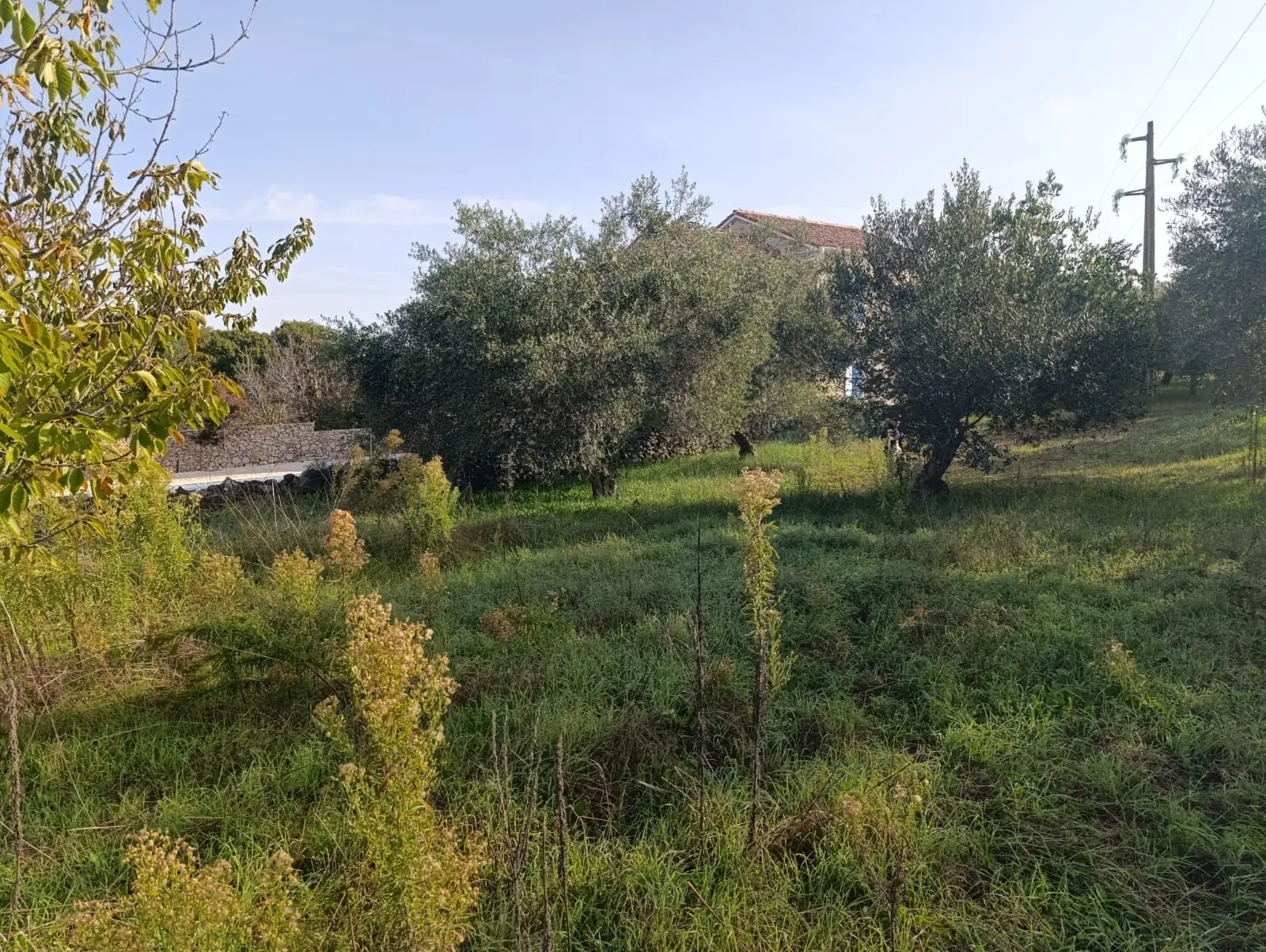Listing Ad Image