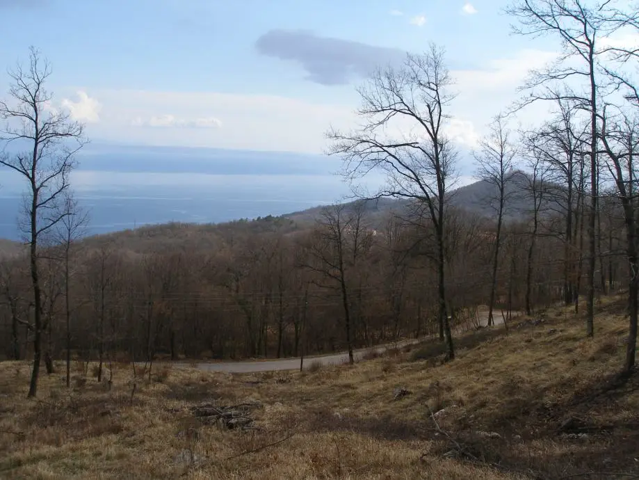 Listing Ad Image