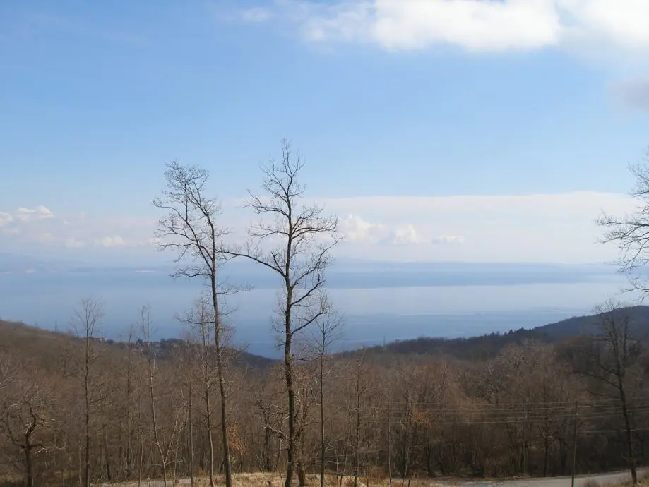 Listing Ad Image