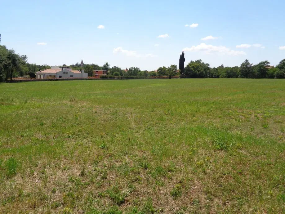 Listing Ad Image