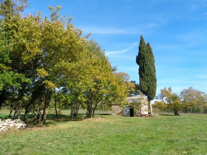 Listing Ad Image