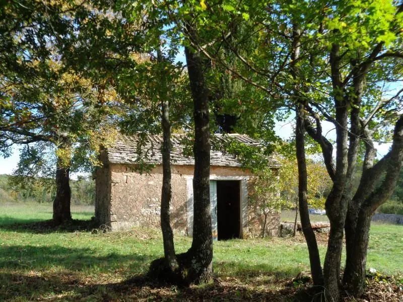 Listing Ad Image