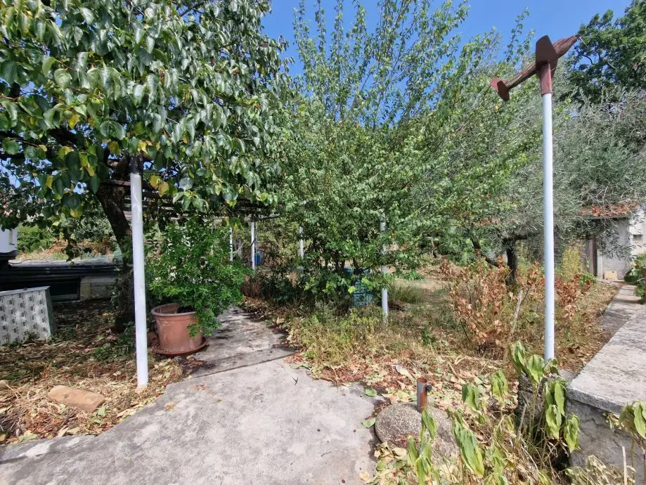 Listing Ad Image