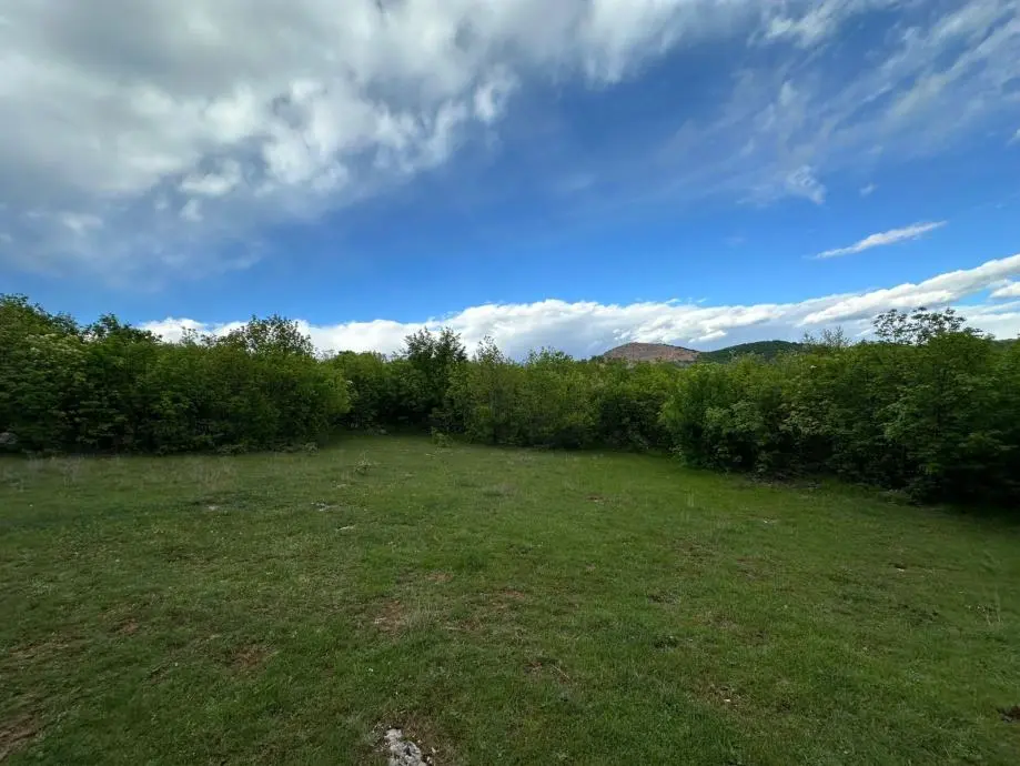 Listing Ad Image