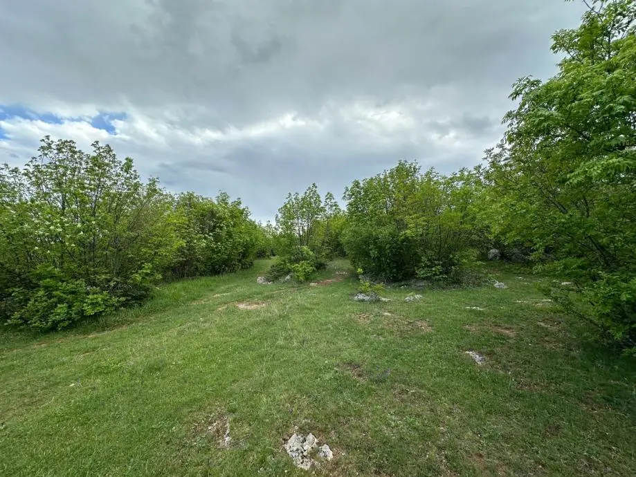 Listing Ad Image