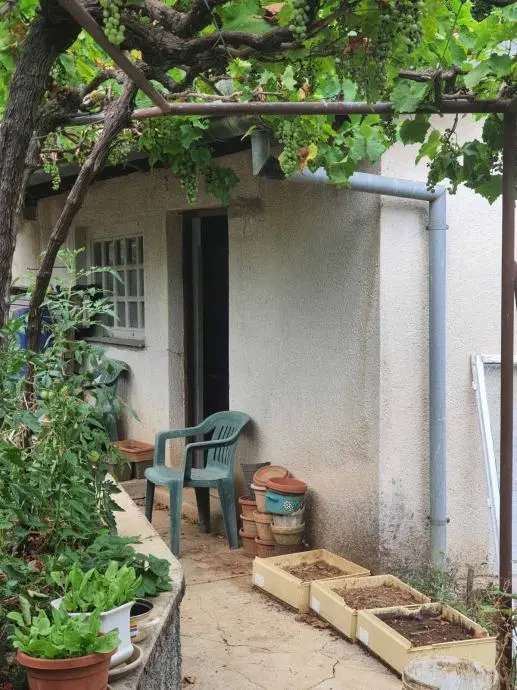 Listing Ad Image