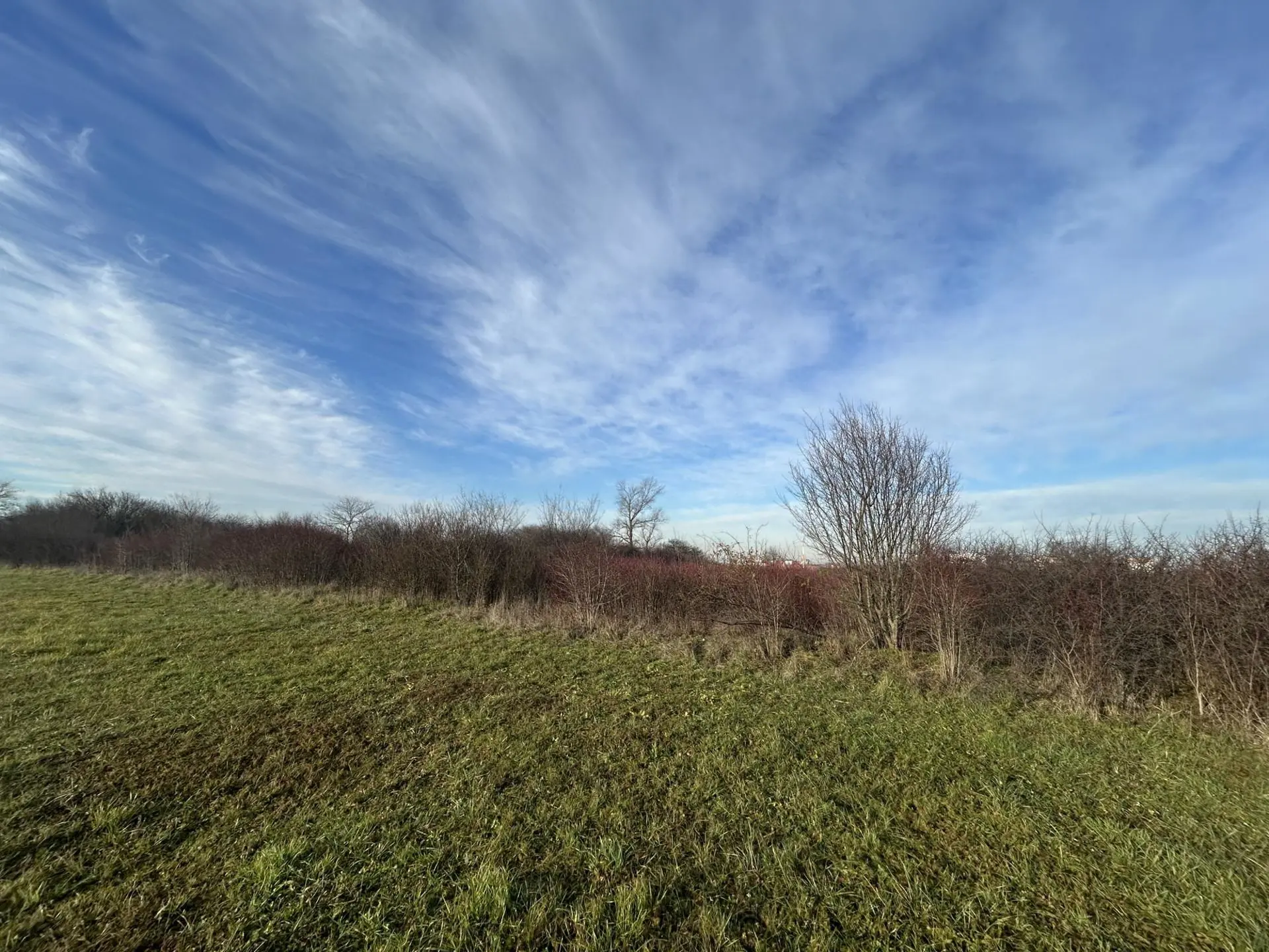 Listing Ad Image