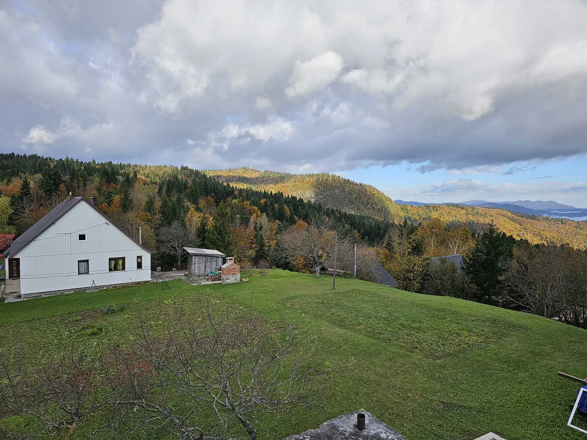 Listing Ad Image