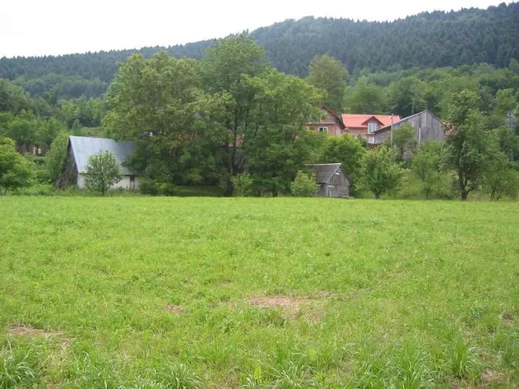 Listing Ad Image
