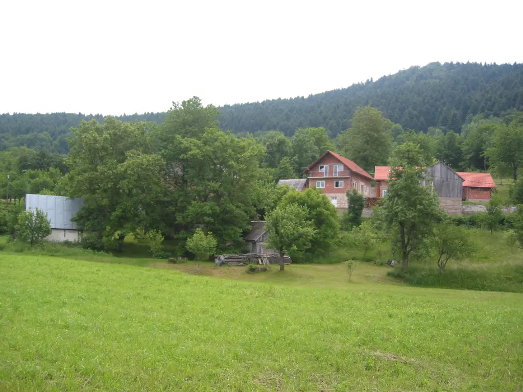 Listing Ad Image