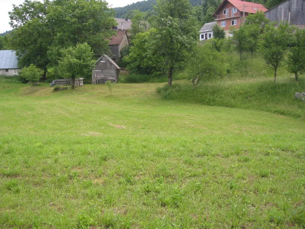 Listing Ad Image