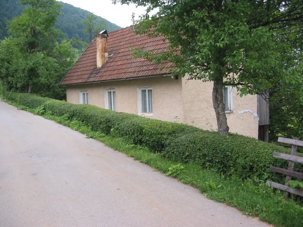 Listing Ad Image