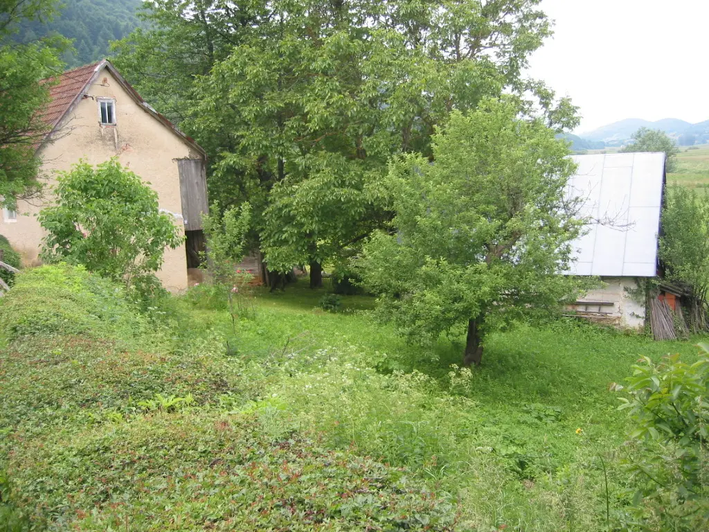Listing Ad Image
