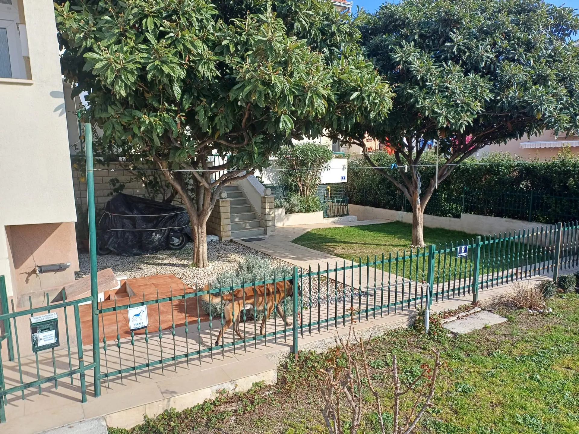 Listing Ad Image