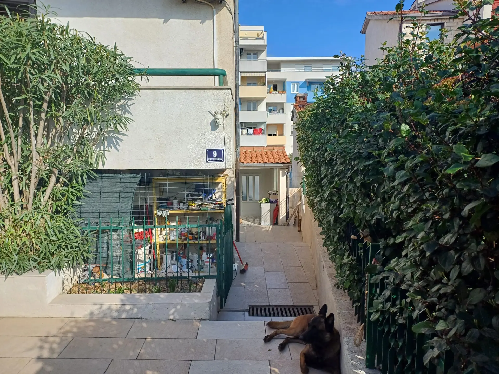 Listing Ad Image