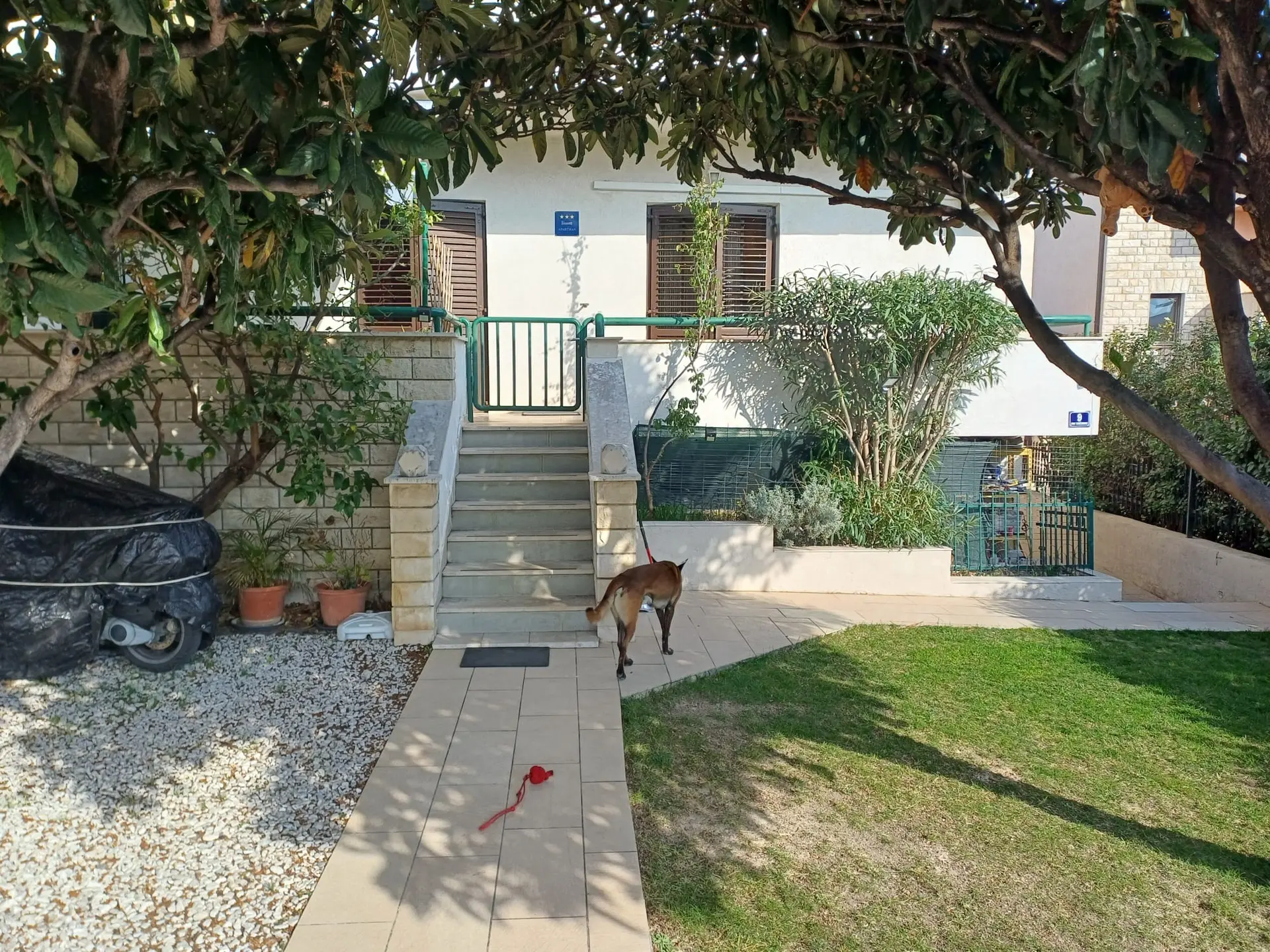 Listing Ad Image