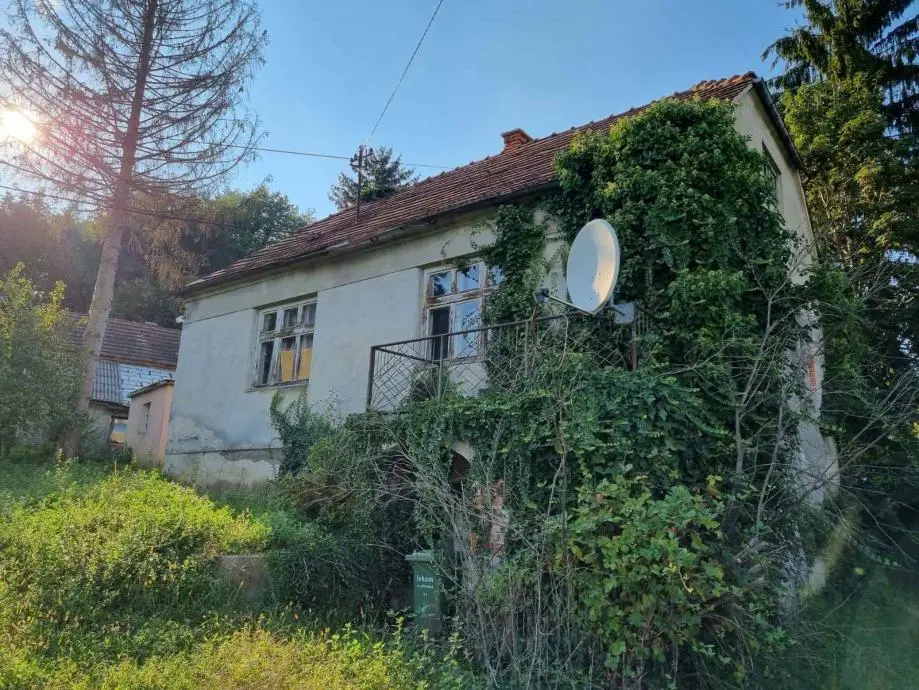 Listing Ad Image