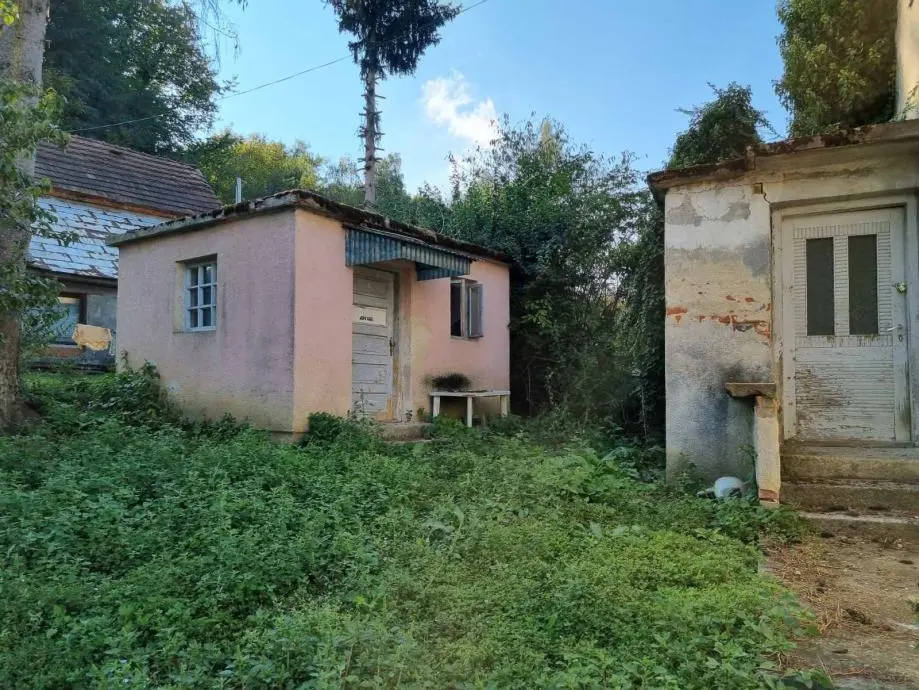 Listing Ad Image