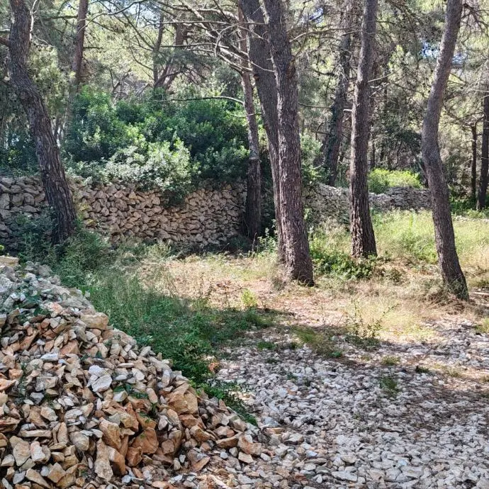 Listing Ad Image