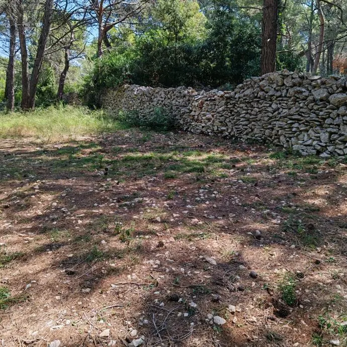 Listing Ad Image
