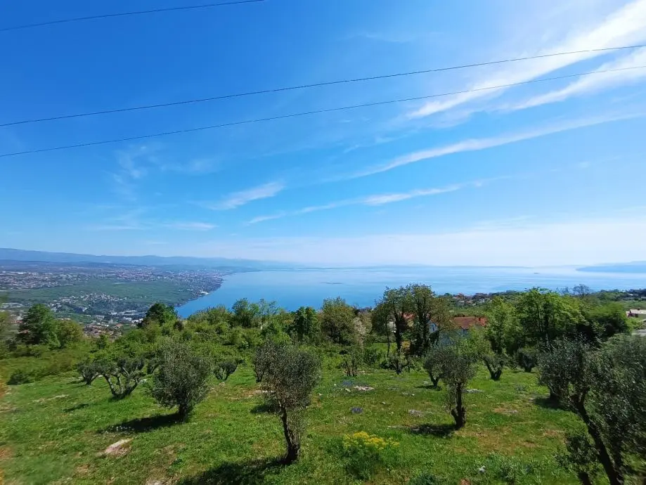 Listing Ad Image