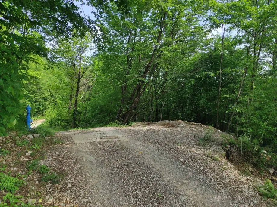 Listing Ad Image