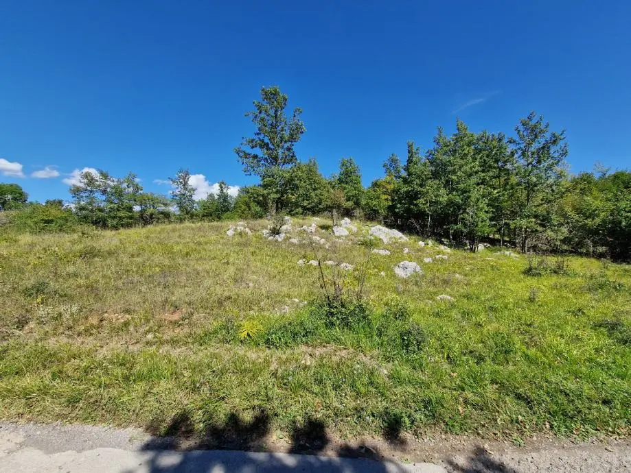 Listing Ad Image
