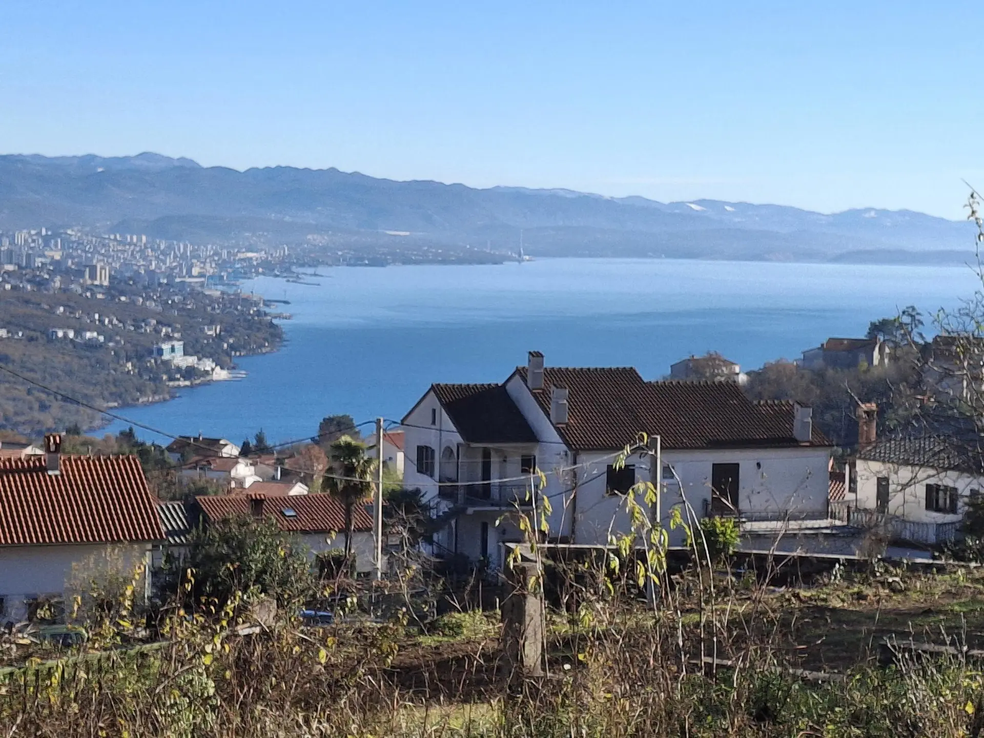 Listing Ad Image