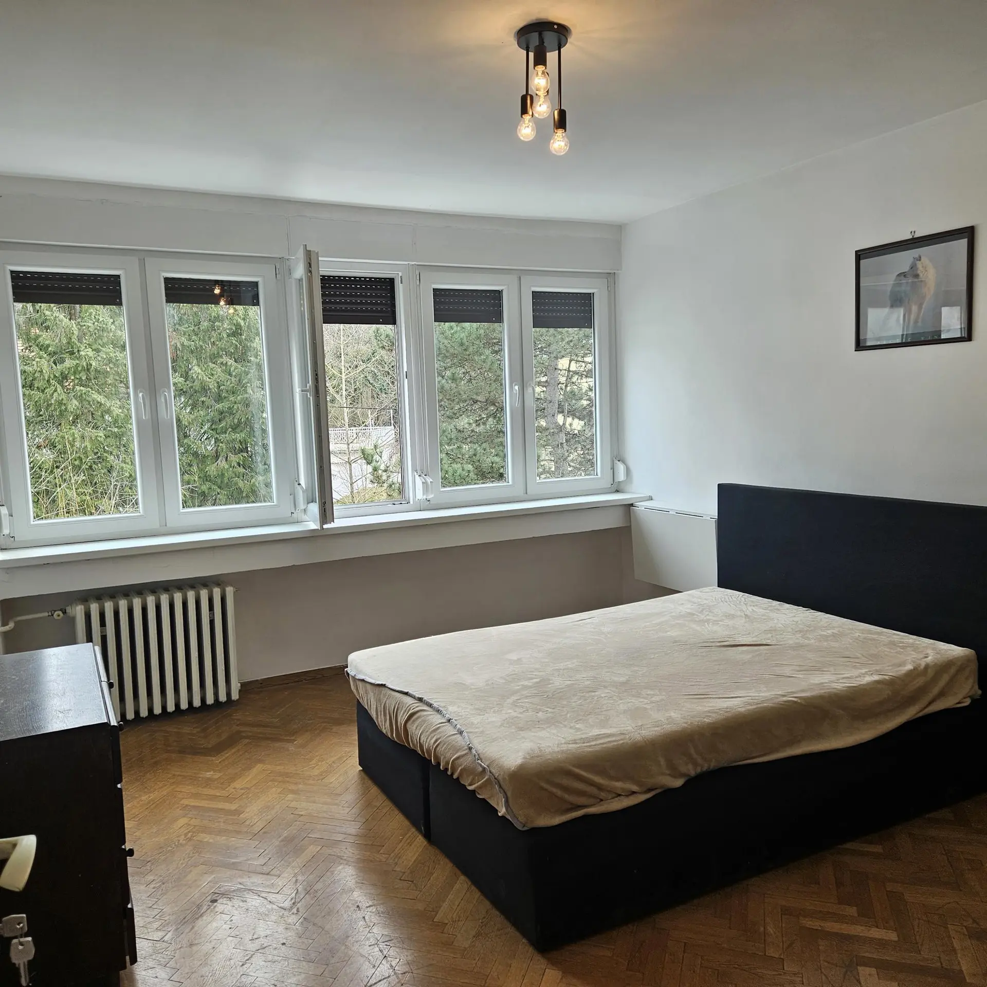 Listing Ad Image