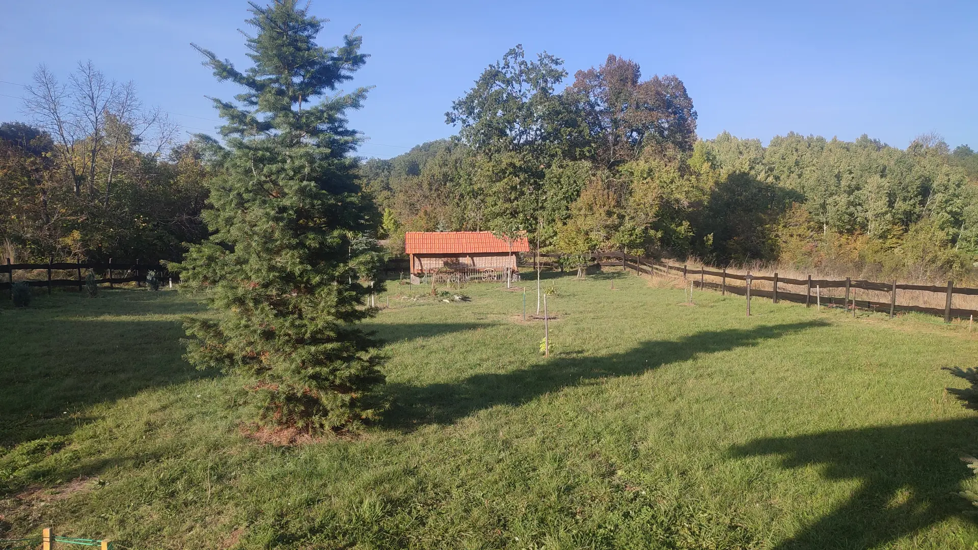 Listing Ad Image