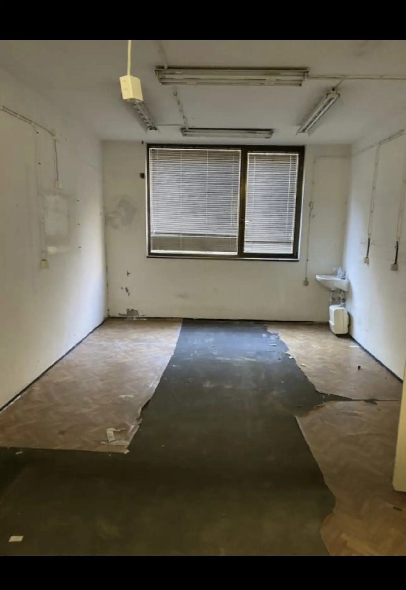 Listing Ad Image