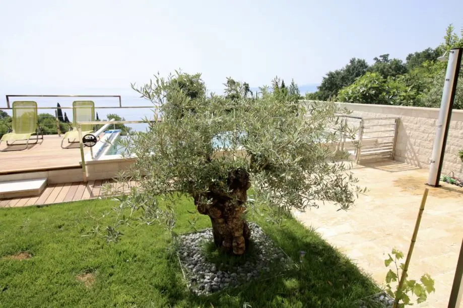 Listing Ad Image