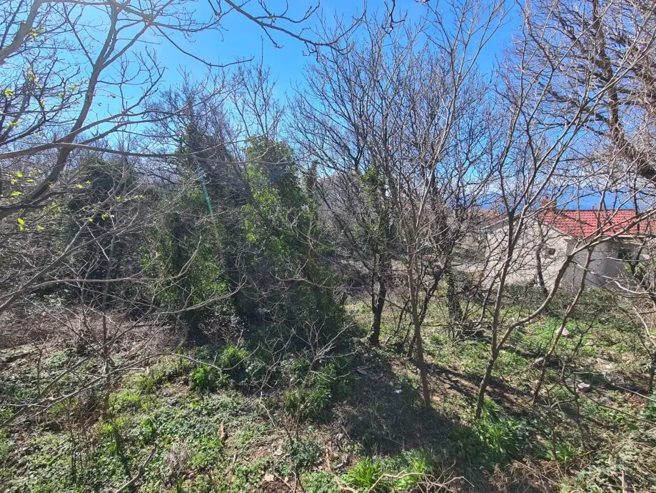 Listing Ad Image